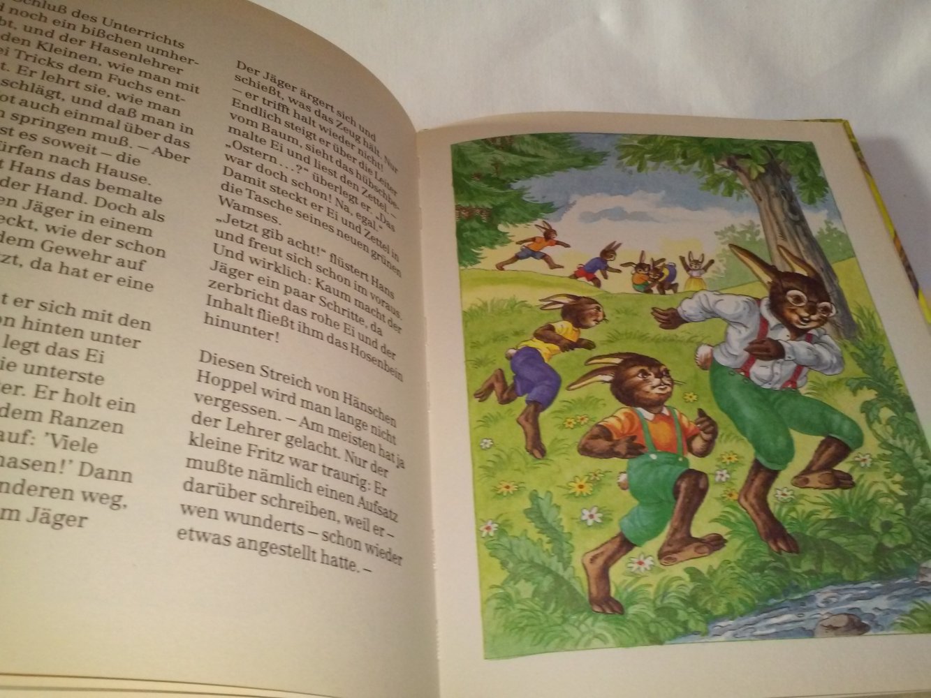 Marc Heinrich: Lustige Hasenschule - Kinderbuch alt