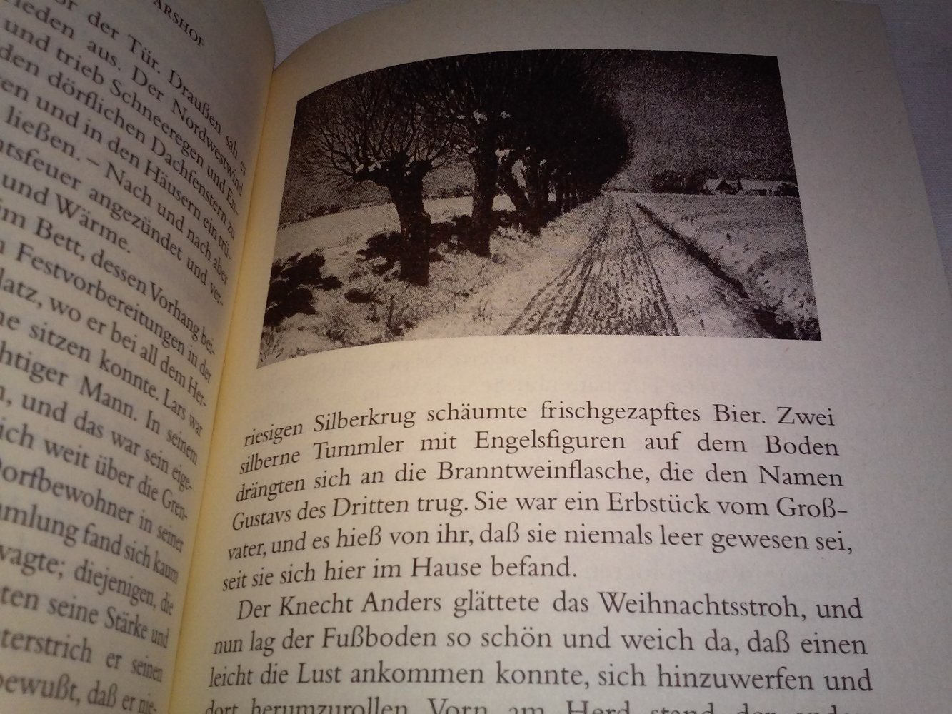 Neu! Klaus Möllmann: Weihnacht bei den Trollen - aus Skandinavien 