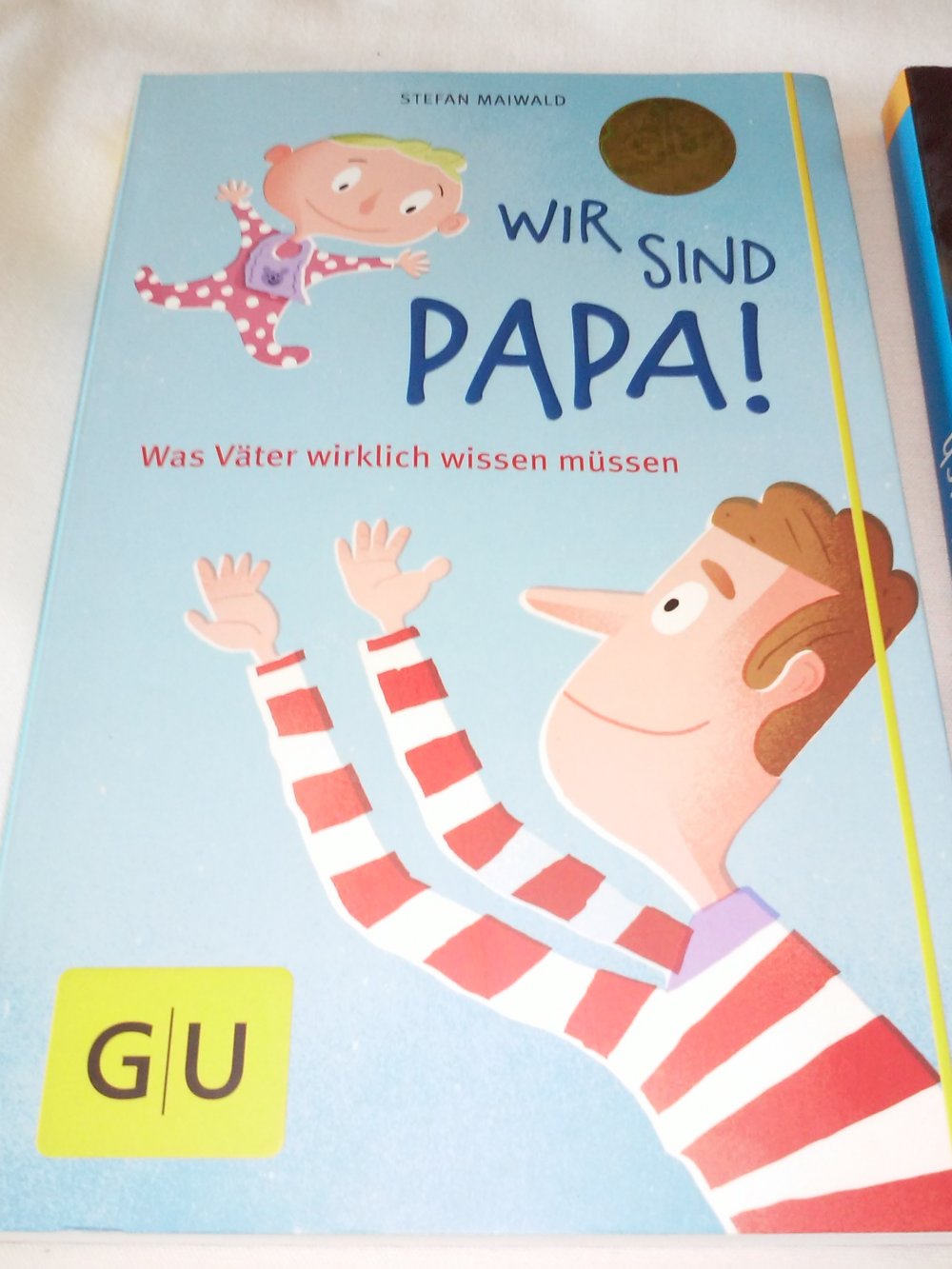 Wir sind Papa!: Was Väter wirklich wissen müssen / Papa-Handbuch