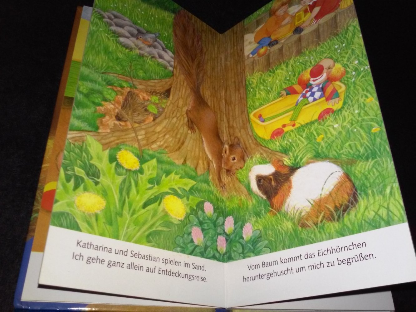 Amrei Fechner, Ich bin das kleine Meerschweinchen