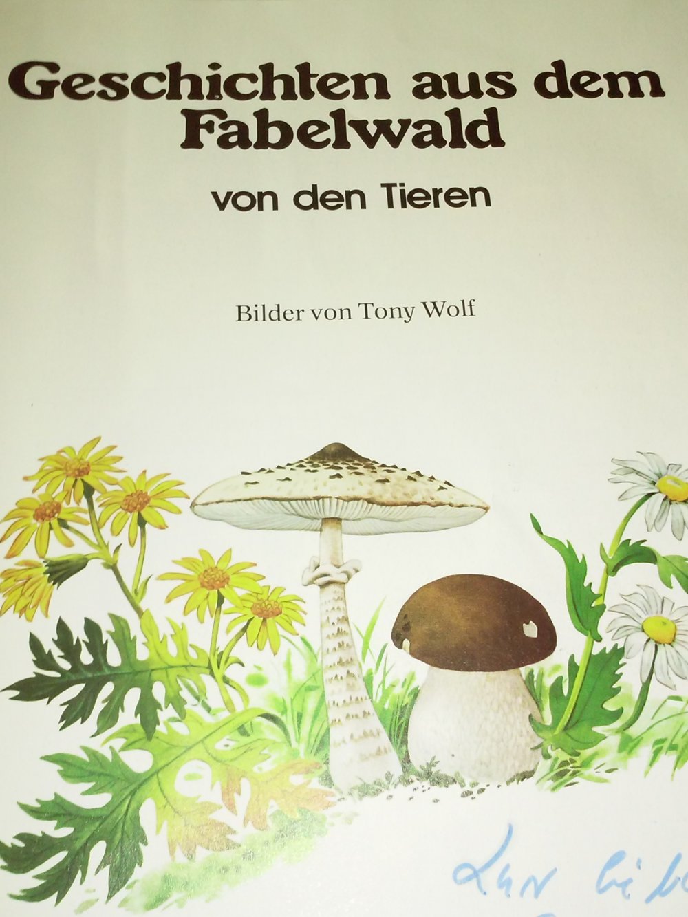 Tony Wolf: Geschichten aus dem Fabelwald von den Tieren. Bd.1 -Kinderbuch alt 
