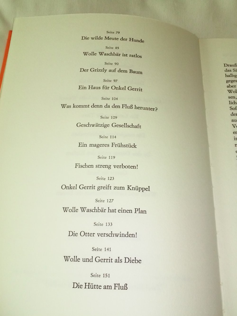 A.D.Hildebrand: Wolle Waschbär - Kinderbuch alt (1971