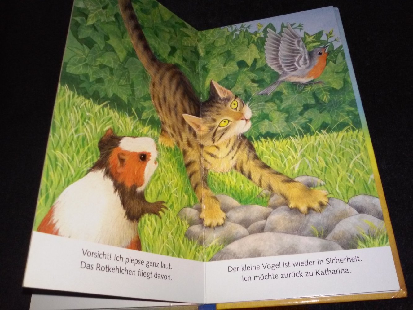 Amrei Fechner, Ich bin das kleine Meerschweinchen
