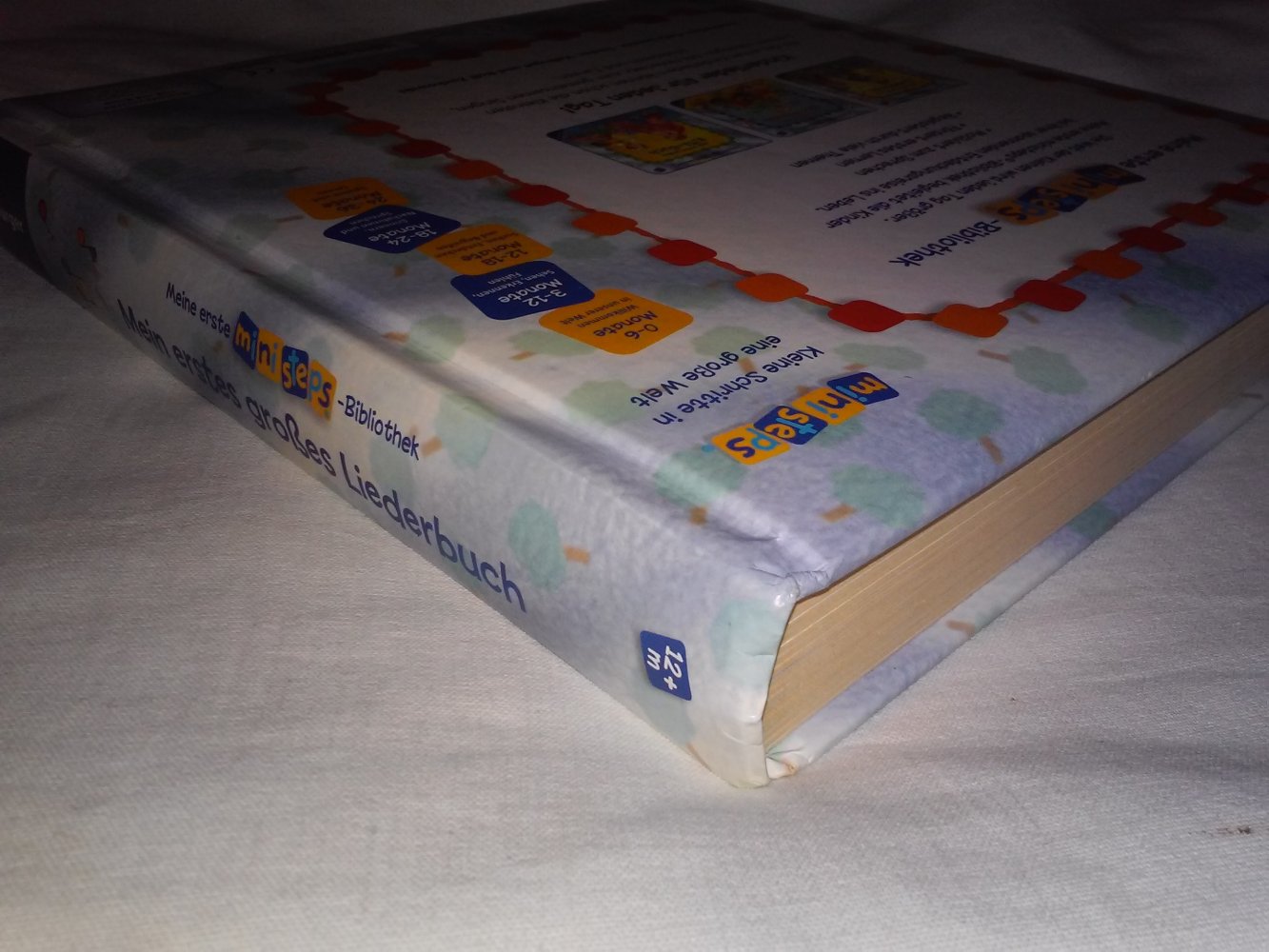 ministeps - Mein erstes großes Liederbuch - an 12 Lm.