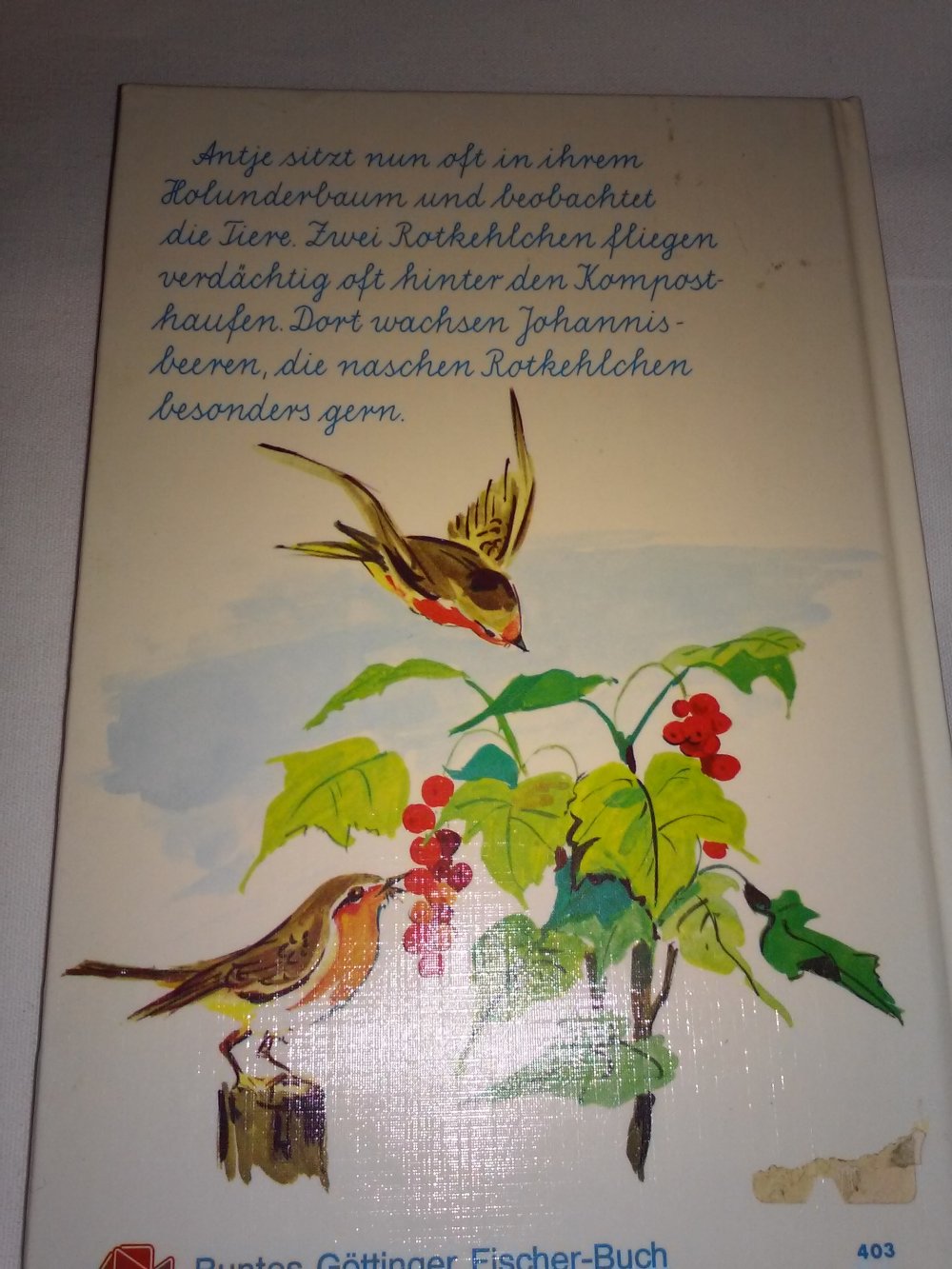 Karl H Weise: Antje im Holunderbaum - Kinderbuch alt