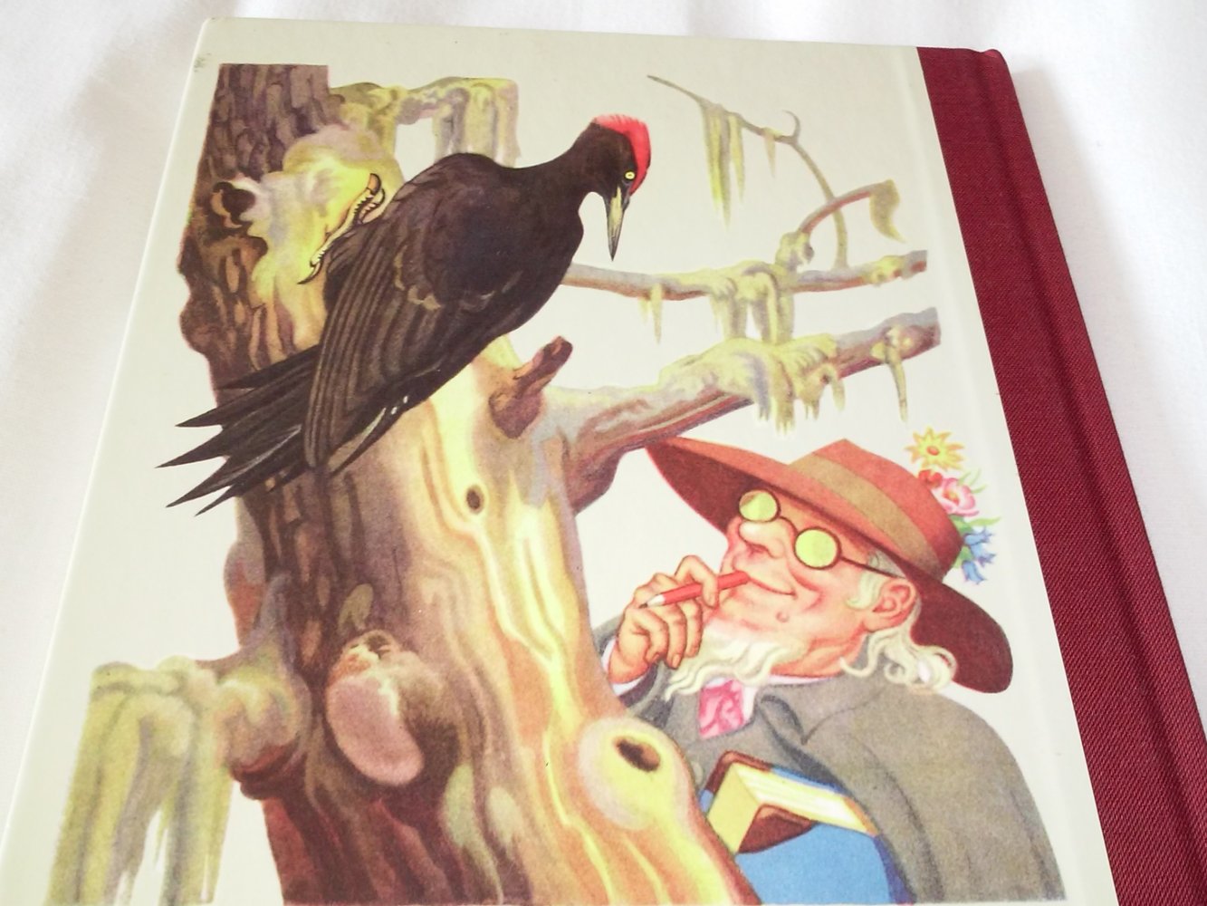 Professor Wüsstegern bei den Vögeln.