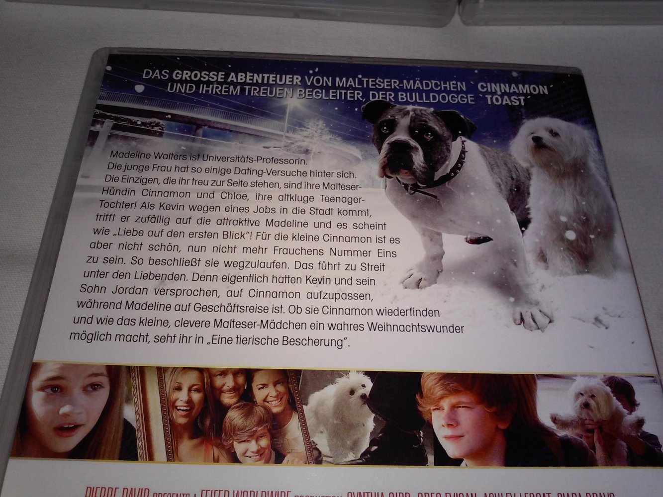 Weihnachtsmärchen -geschichten -abenteuer Hund/Buddys