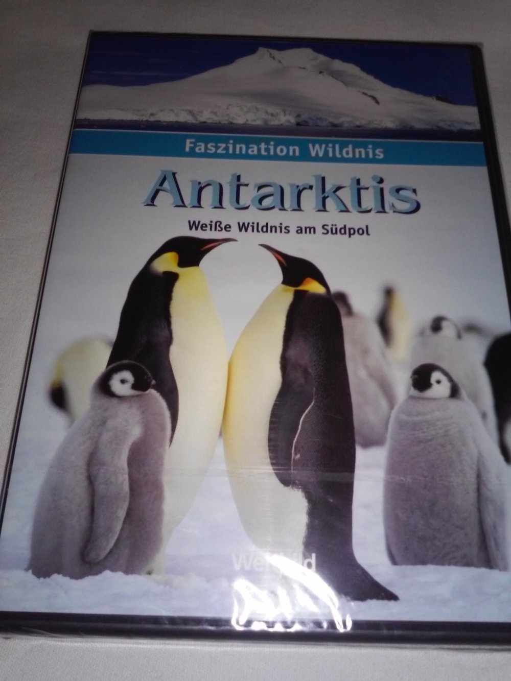 Faszination Wildnis Der weiße Planet / Antarktis - Weiße Wildnis am Südpol