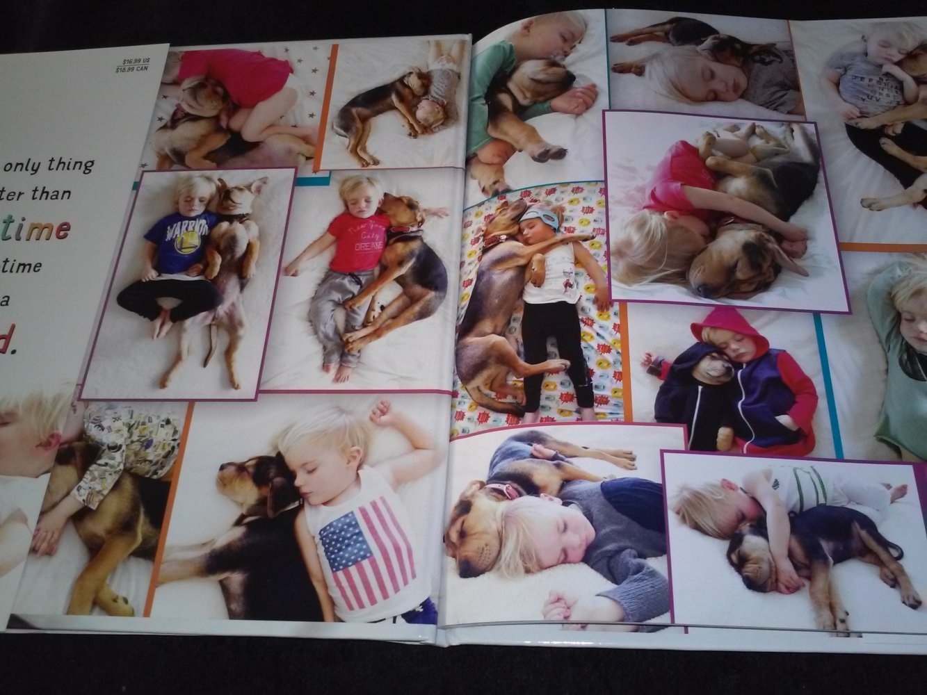 Jessica Shyba: Naptime with Theo and Beau (Bildband Baby und Welpe)