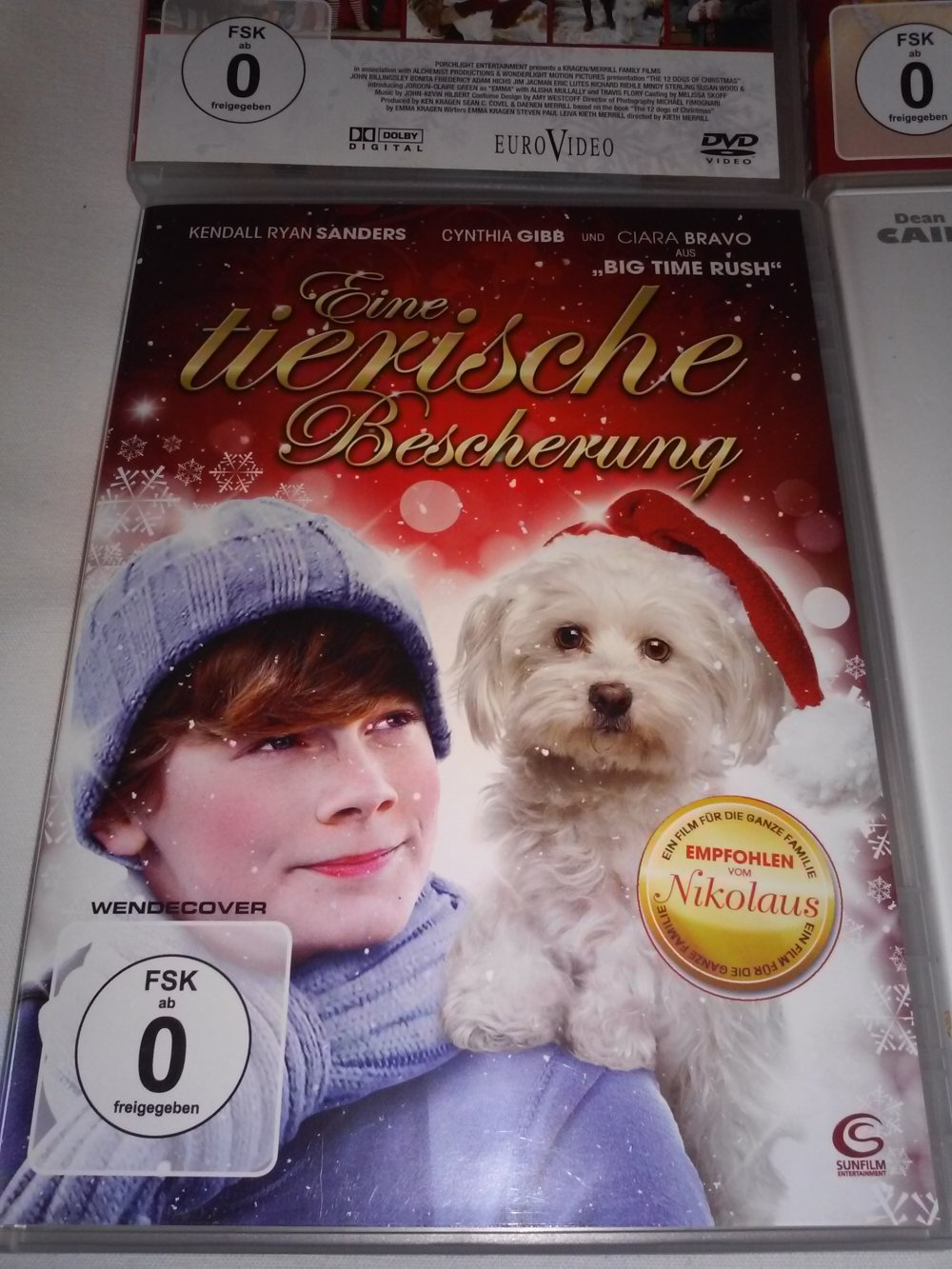 Weihnachtsmärchen -geschichten -abenteuer Hund/Buddys