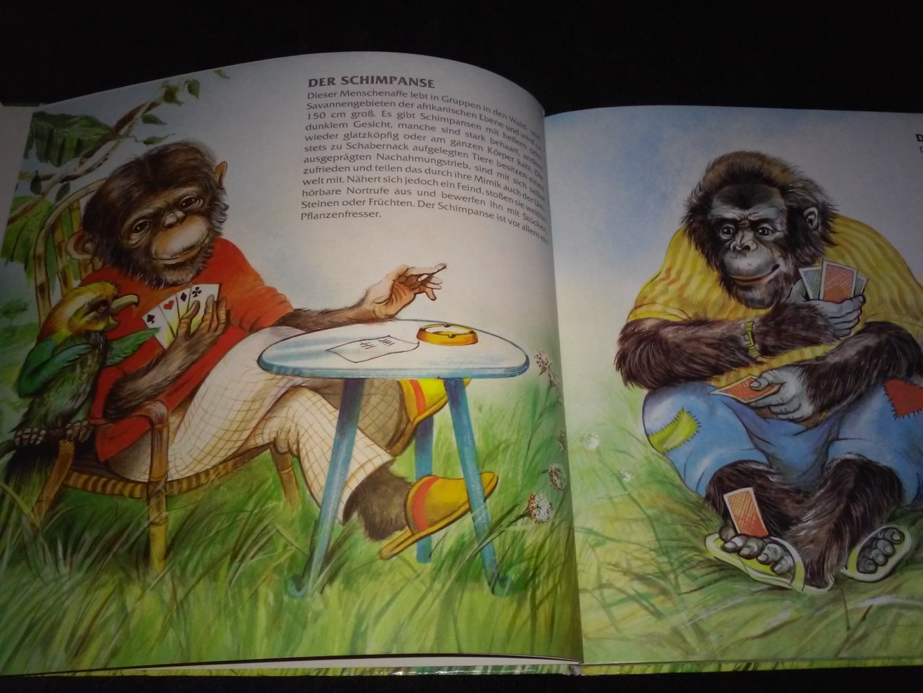 Gyulia Jalics: Exotische Tiere