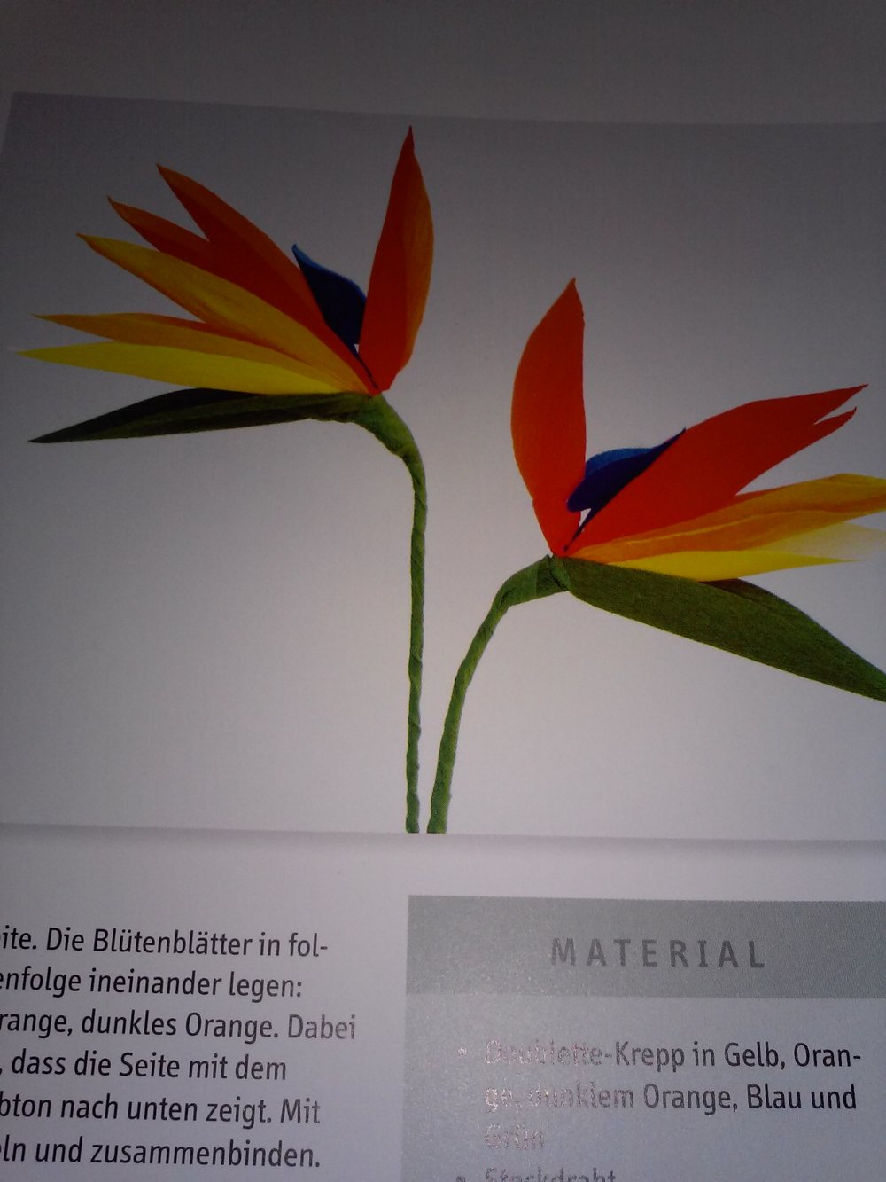 Maria NobleWunderschöne Papierblumen: 100 Ideen (gratis dazu einige bunte Blätter)