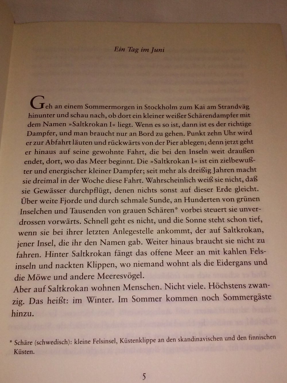 Astrid Lindgren: Ferien auf Saltkrokan -Kinderbuch alt