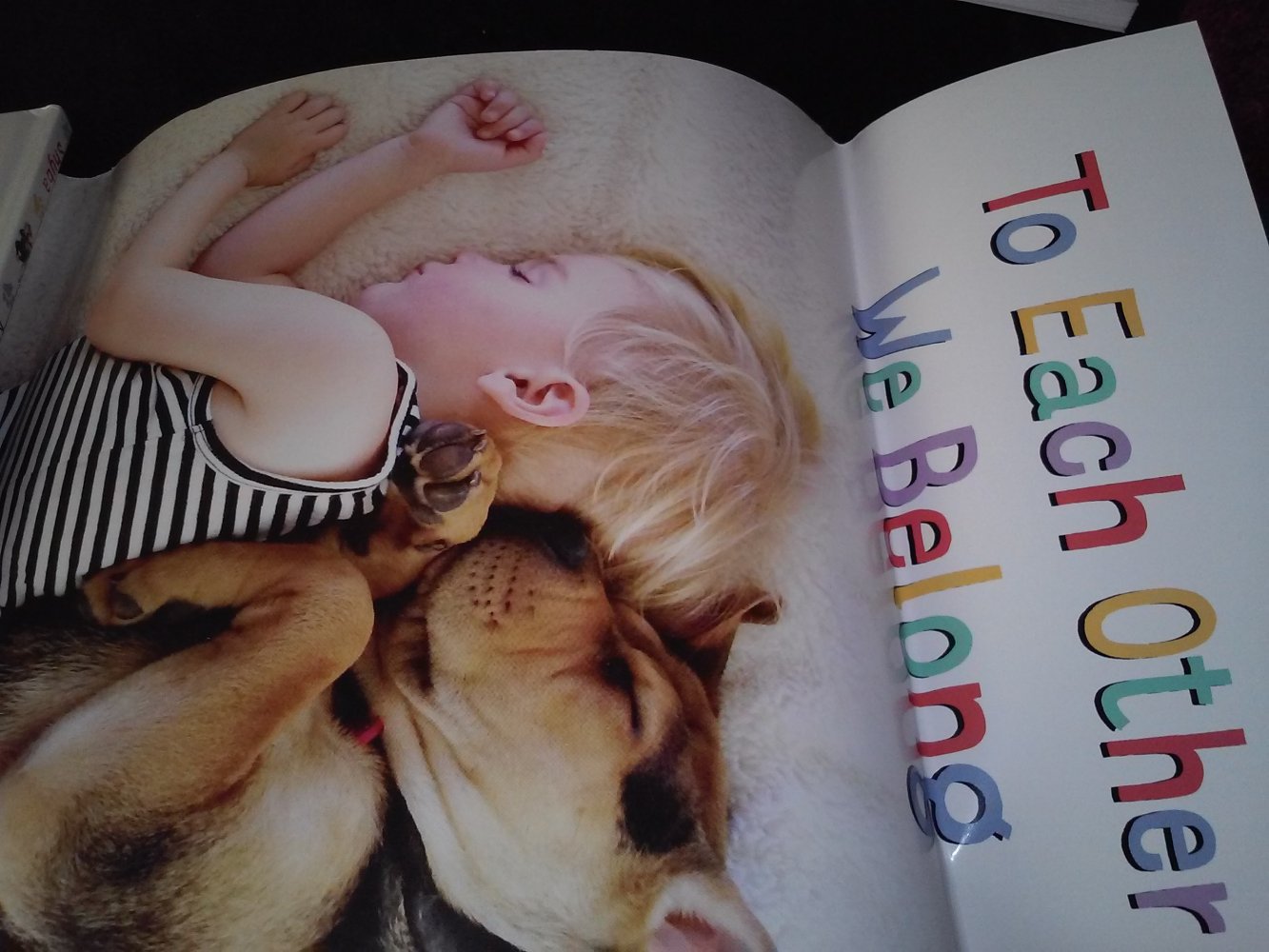 Jessica Shyba: Naptime with Theo and Beau (Bildband Baby und Welpe)