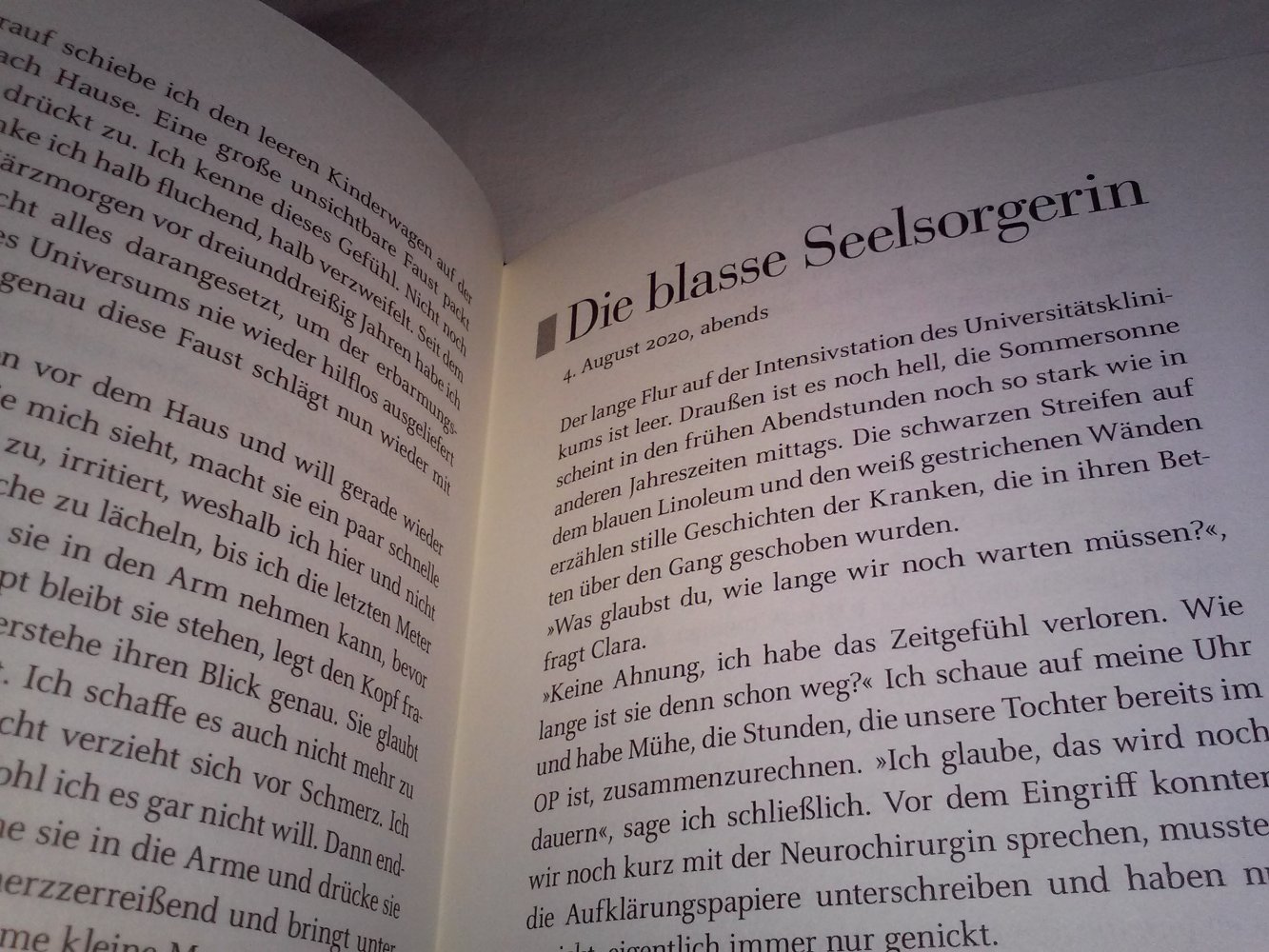 Neu!Dr.Johannes Wimmer: Wenn die Faust des Universums zuschlägt -Geschenktipp