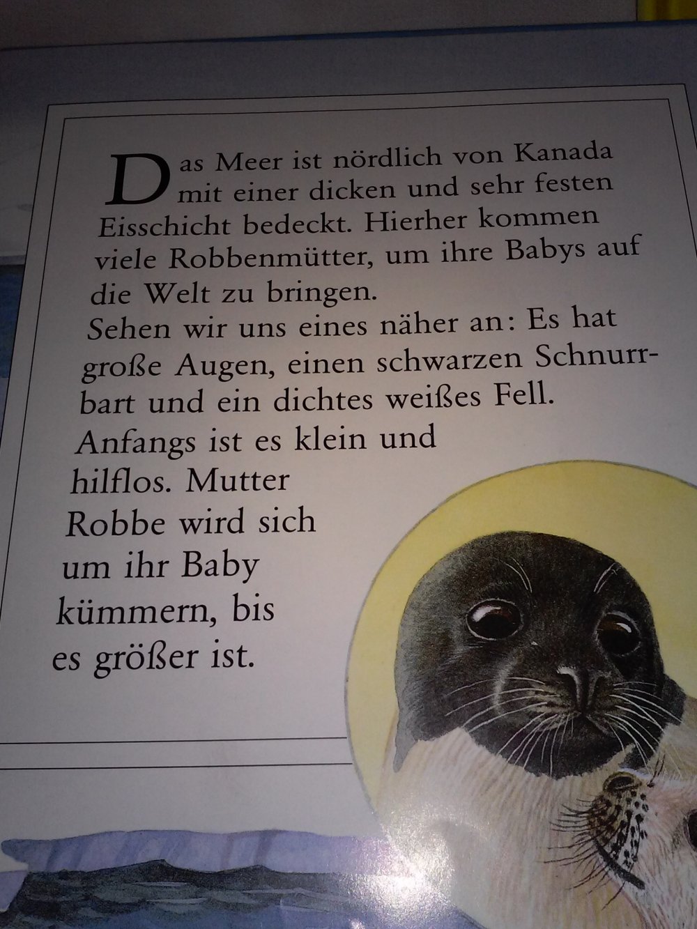  Moira Butterfield: Ein Robbenbaby/Tigerbaby wächst heran -Kinderbuch alt