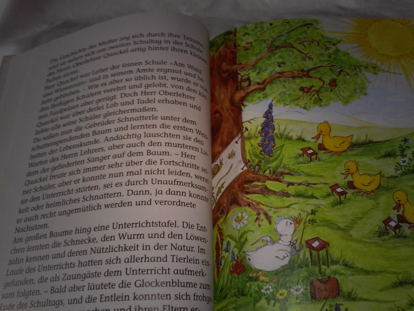 Die lustige Entenfamilie und die Abenteuer der Familie Igel 