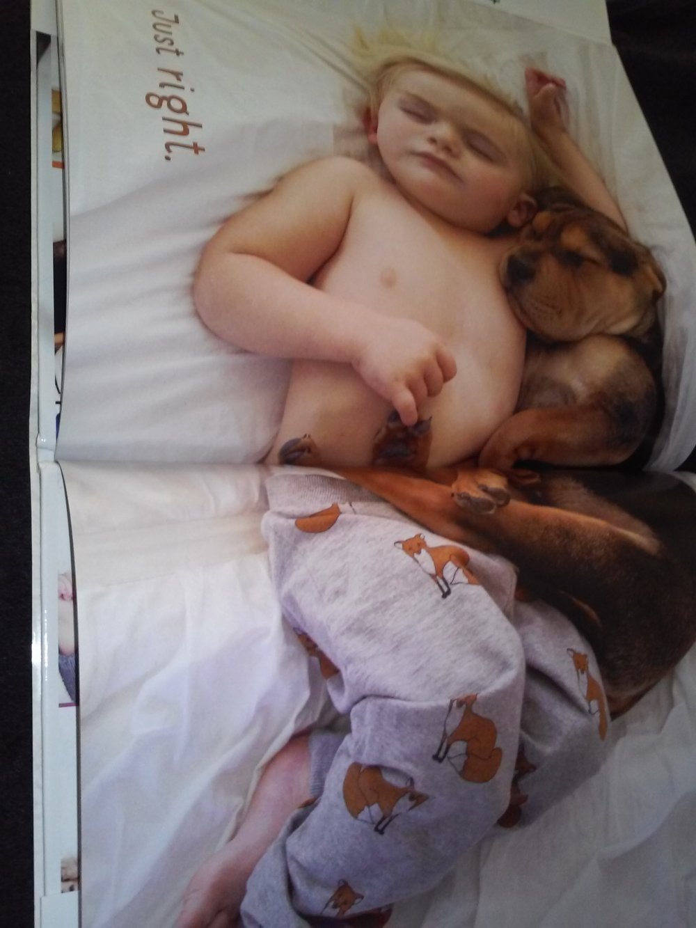 Jessica Shyba: Naptime with Theo and Beau (Bildband Baby und Welpe)