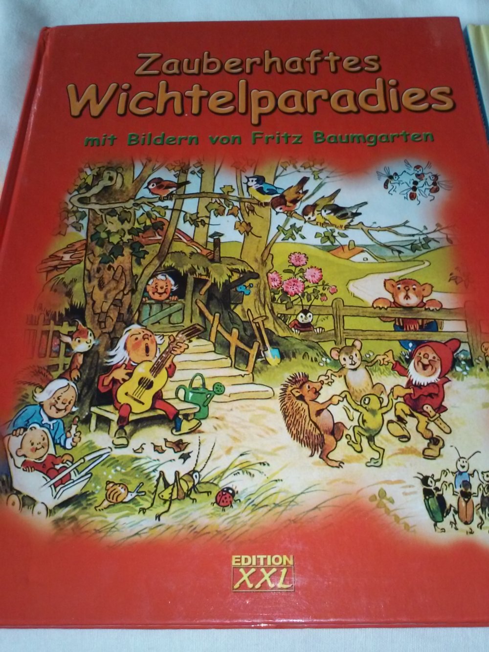 Fritz Baumgarten: Zauberhaftes Wichtelparadies + Abenteuer am Wichtelsee