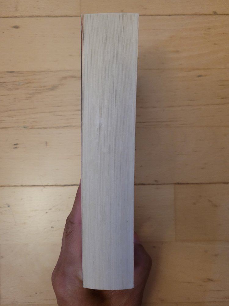 Ein plötzlicher Todesfall - Roman