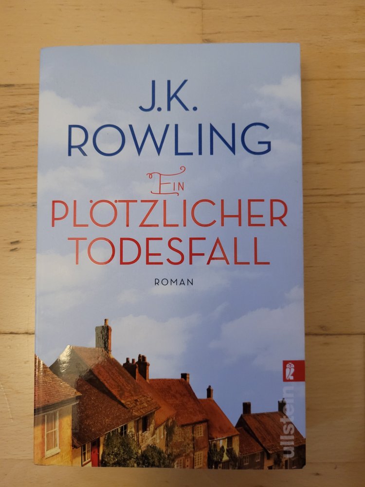 Ein plötzlicher Todesfall - Roman