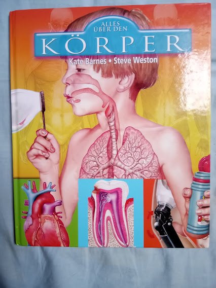 Kinderbuch Alles über den Körper
