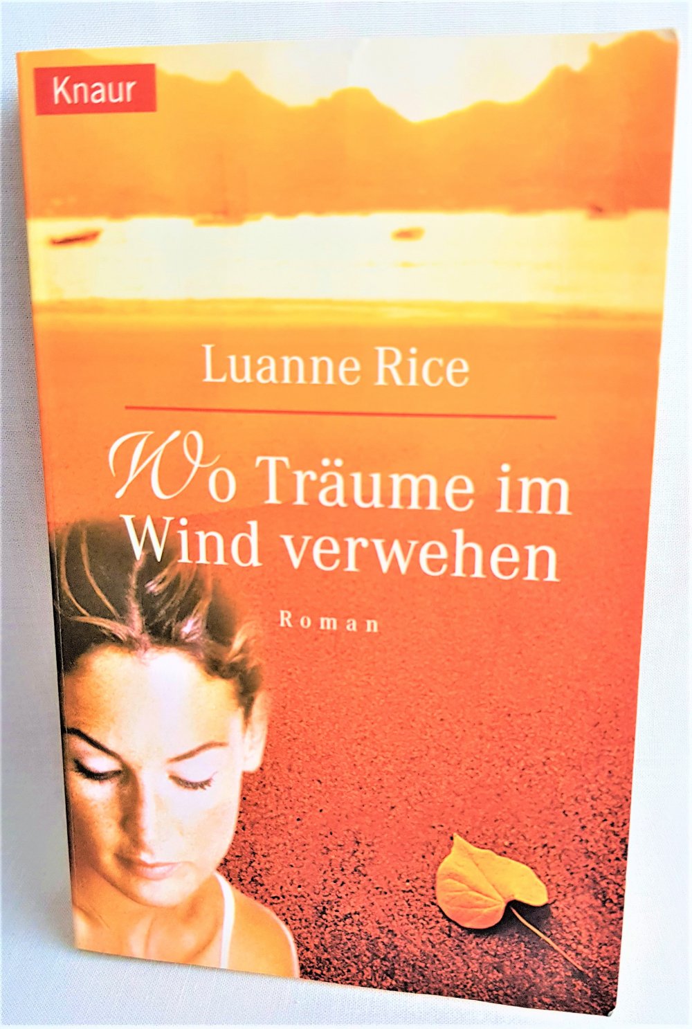 Wo Träume im Wind verwehen -- Luanne Rice