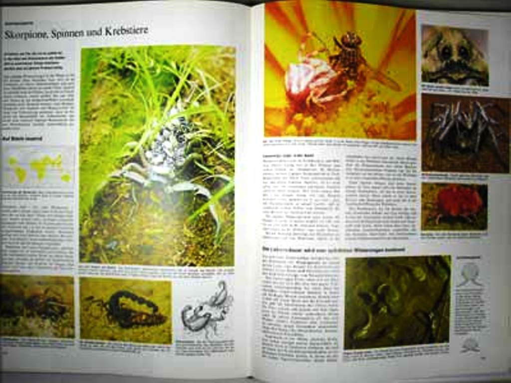 Reader's Digest Bildatlas der Tierwelt. Bildband- 1971