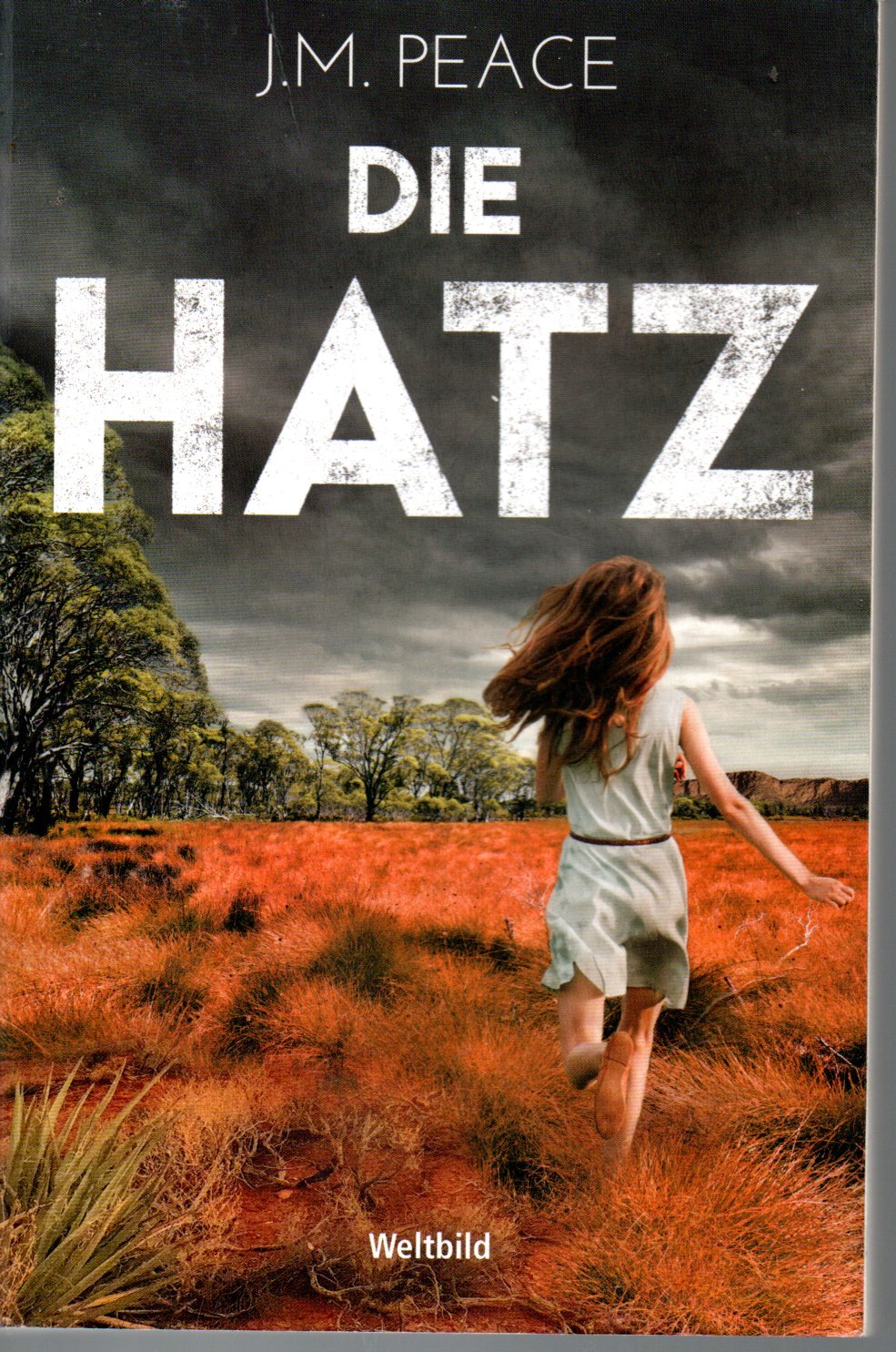 Die Hatz