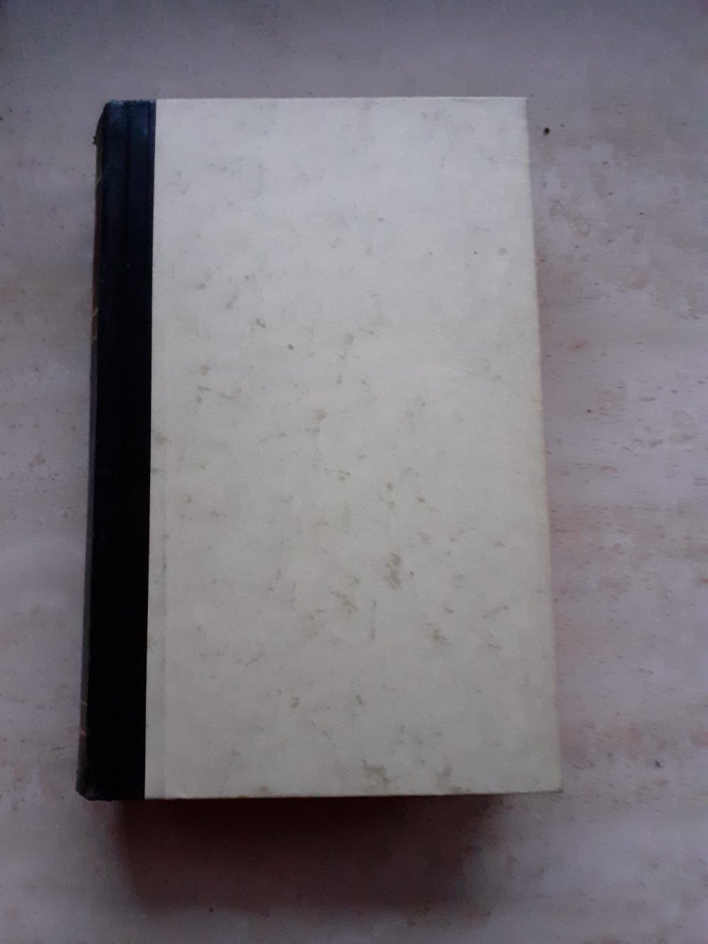Roman, Der große Regen, Gebundenes Buch, Guter Zustand 