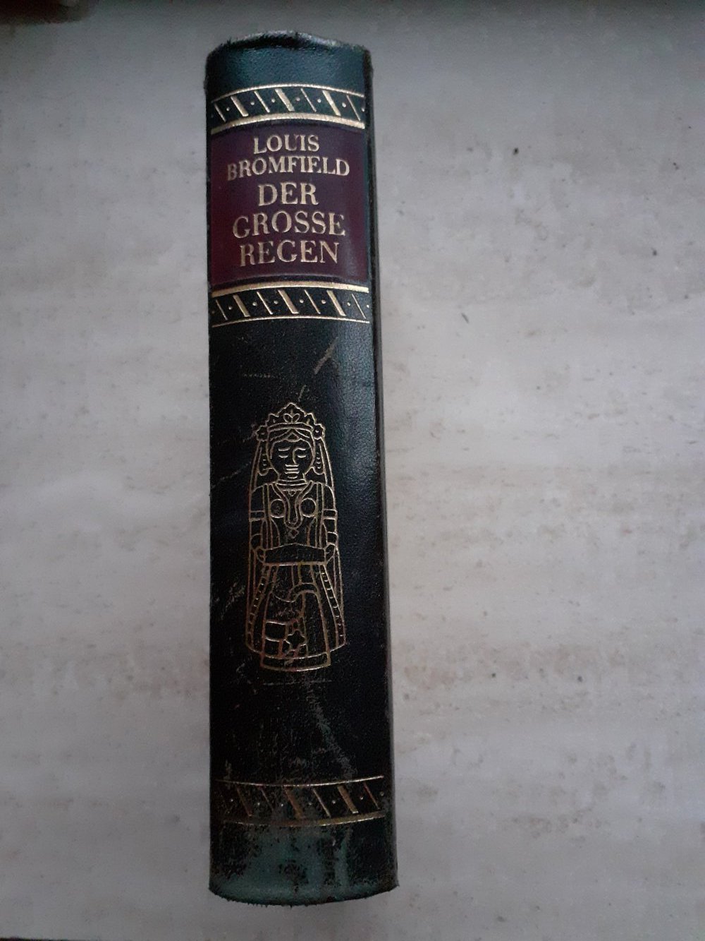 Roman, Der große Regen, Gebundenes Buch, Guter Zustand 