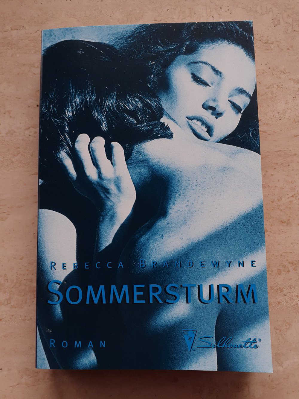Roman, Sommersturm, Taschenbuch, Zustand wie Neu
