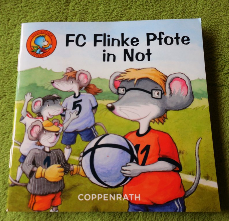 FC Flinke Pfote in Not