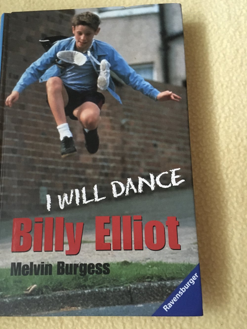 Buch Kinderbuch 