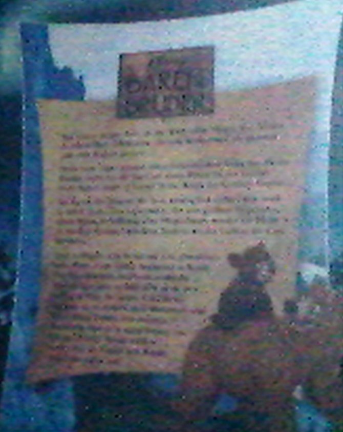 Bärenbrüder - Buch statt Film