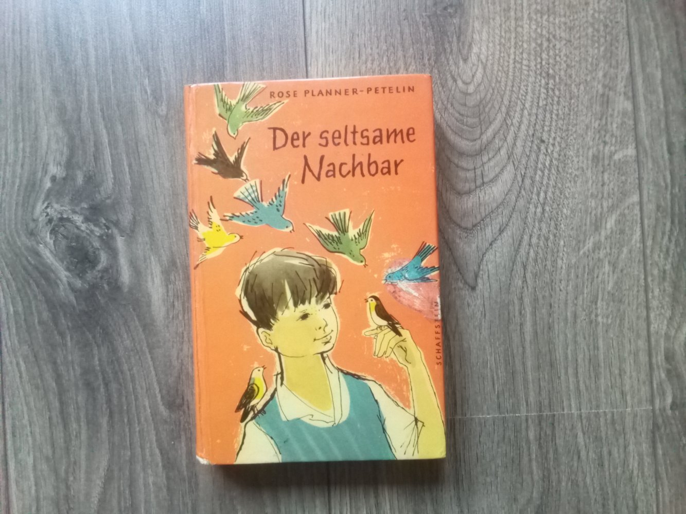 Sommerstürme der seltsame Nachbar Mary Stolz Rose Planner-Petelin