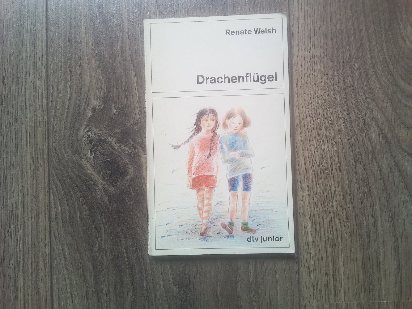 Dtv junior Renate Welsh Drachenflügel