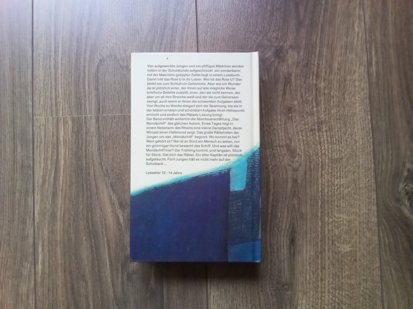 Wilhelm Matthiessen Das rote U LeseRiese ab 10 Jahre Buch 