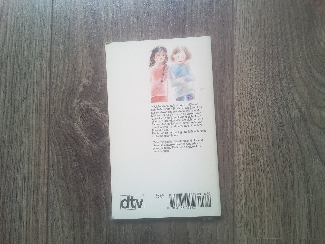 Dtv junior Renate Welsh Drachenflügel