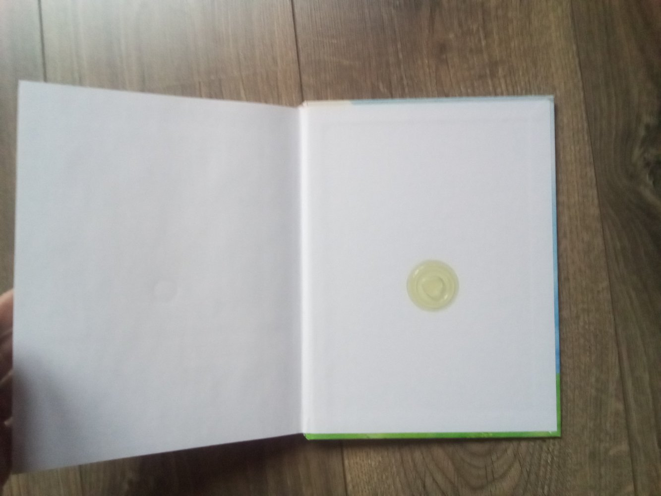 Villa Menschenkinder Detlev Jöcker Buch Kochen Singen