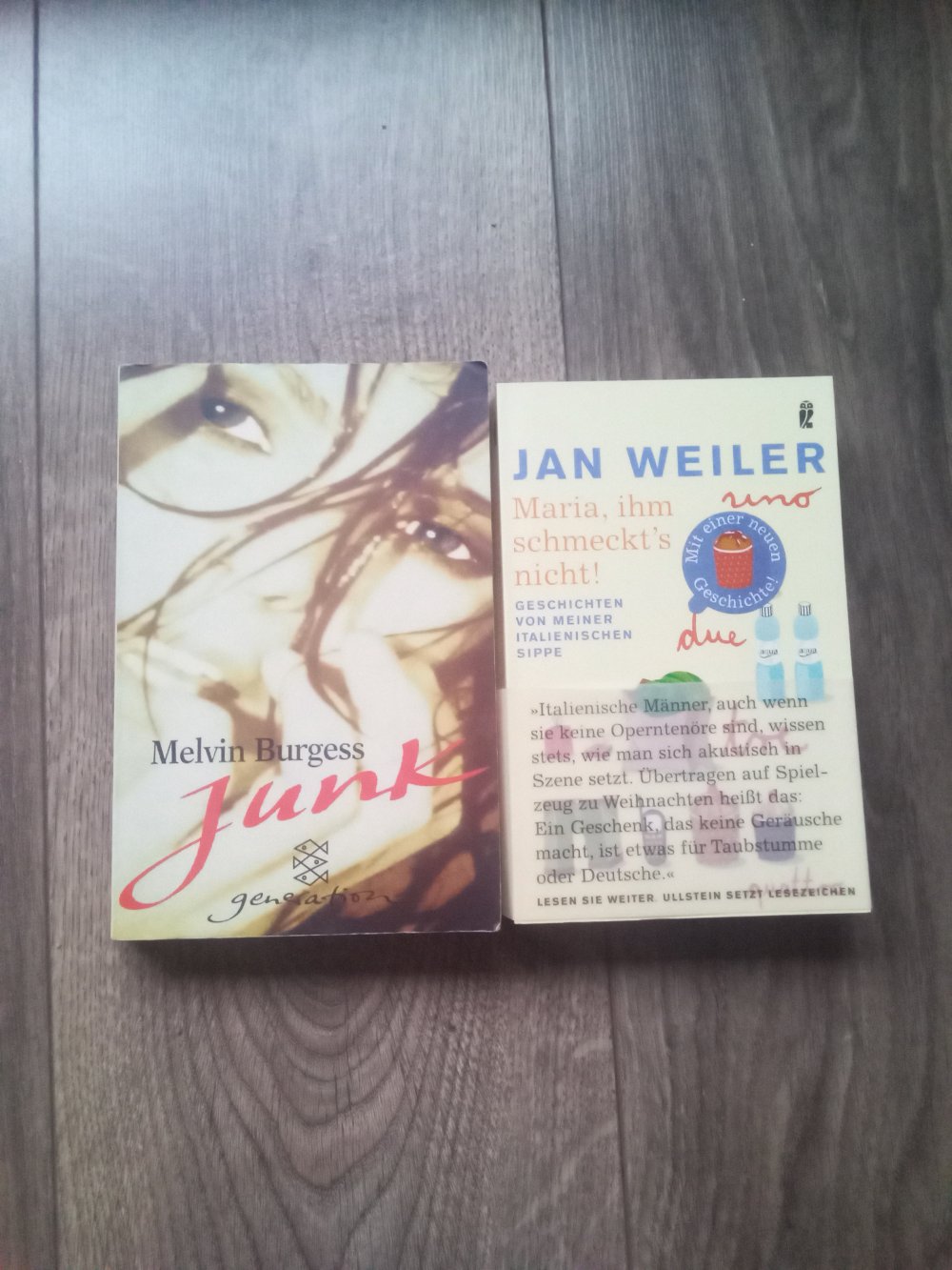 Junk Melvin Burgess Maria ihm Schmeckts nicht Jan Weiler Buch