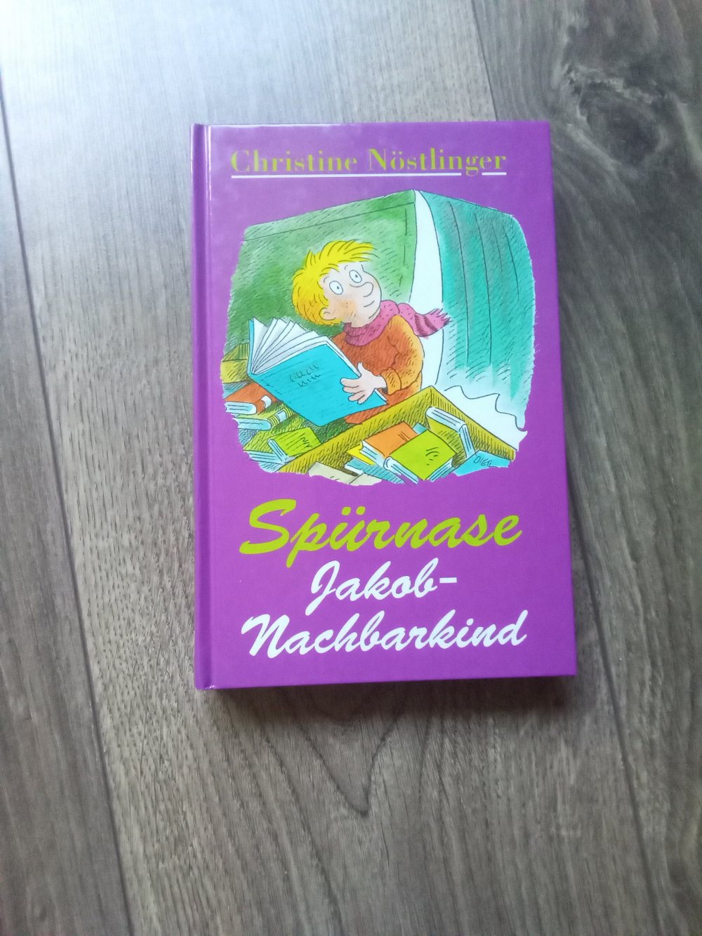 Jakob Spürnase nicht Chicago nicht hier Buch Boie Nöstlinger