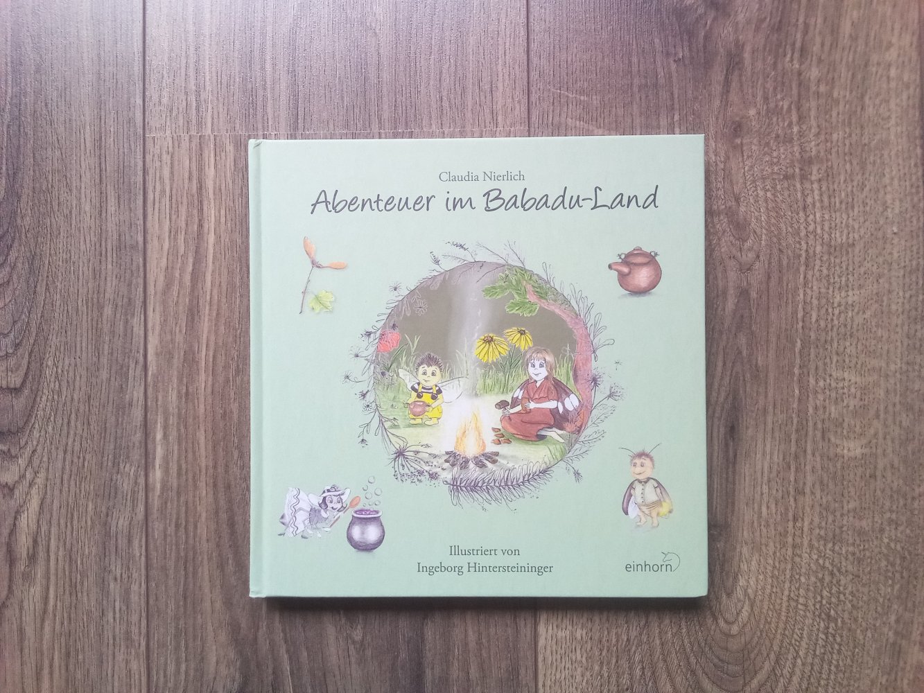 Abenteuer im Babadu-Land Claudia Nierlich Buch ab 6