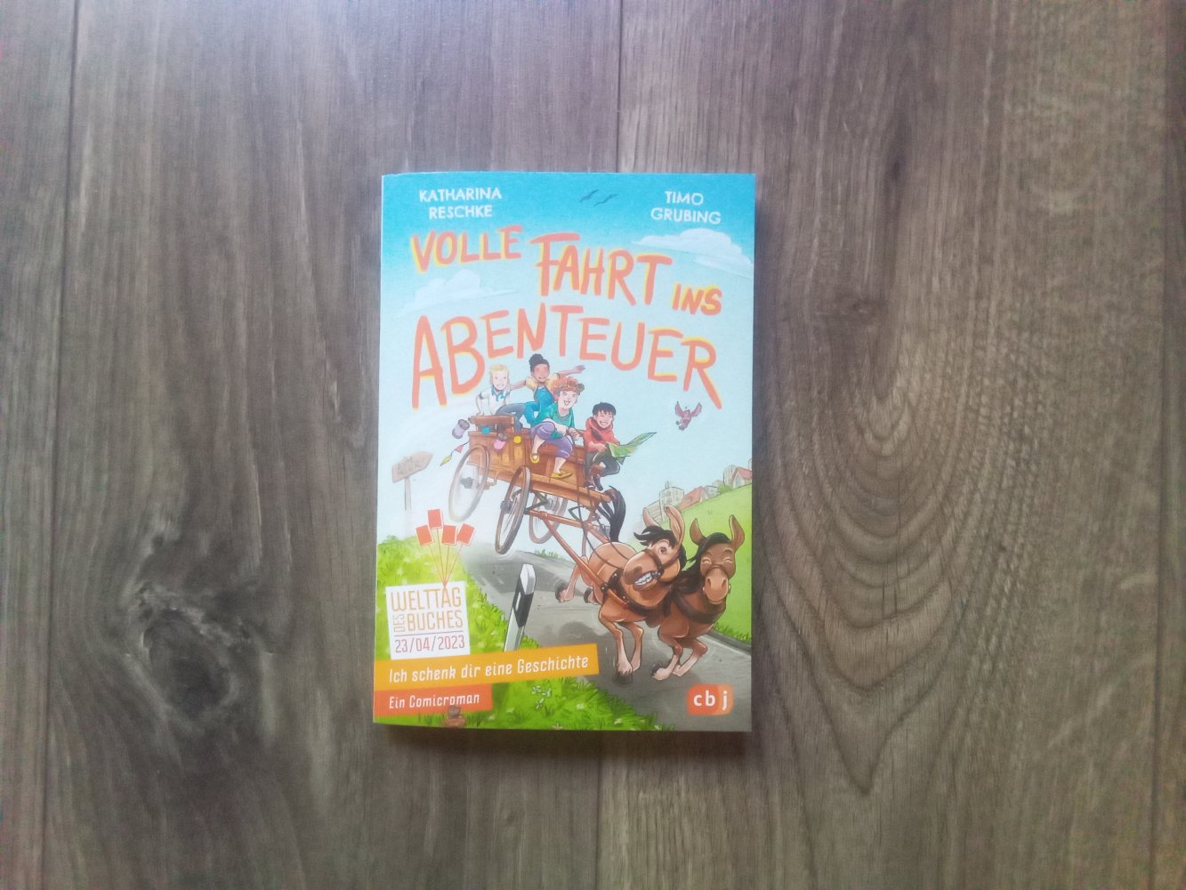 Volle Fahrt ins Abenteuer Katharina Reschke Timo Grubing Kinderbuch Comicroman