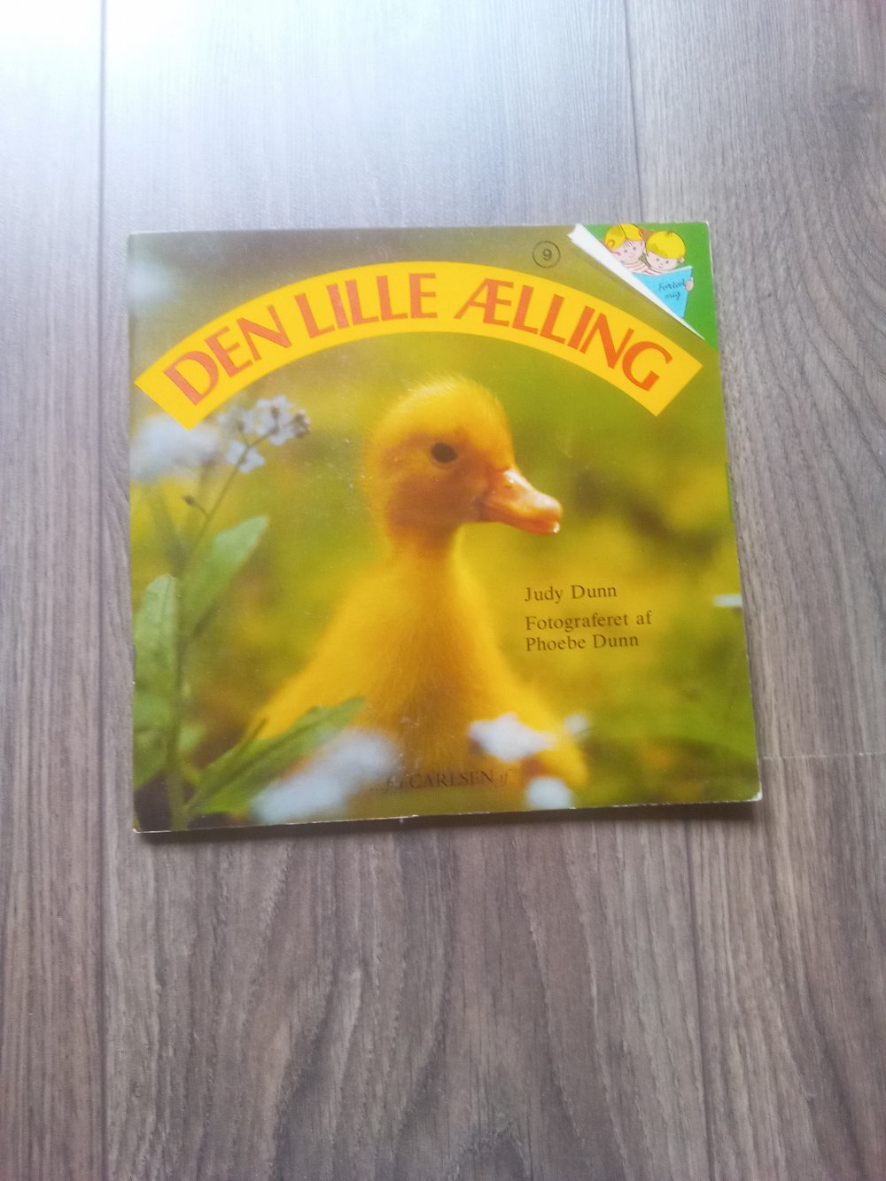 Den Lille Aelling Bilderbuch dänisch das kleine Entlein Judy Dunn