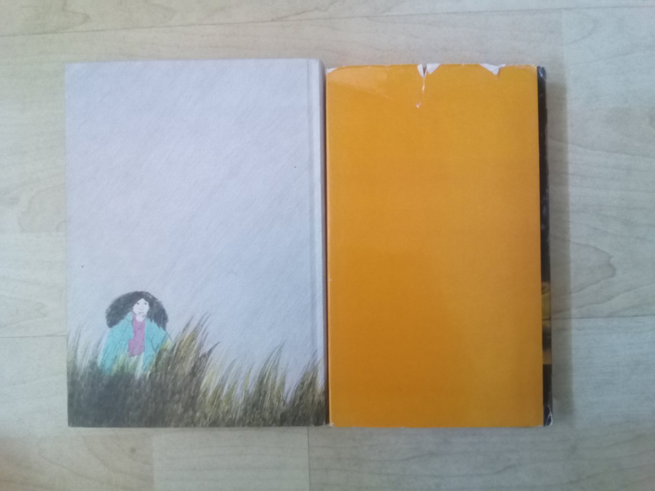 Im Wind der Camargue Sommer mit Metta und Mulle de Cesco Gripe