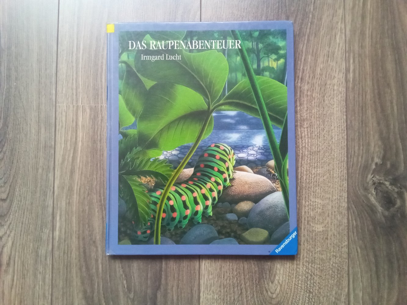 Das Raupenabenteuer Irmgard Lucht Ravensburger