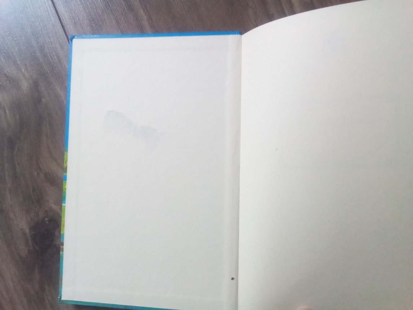 verschiedene Bücher Bambi verrückte Geschichten Jahresreigen Kinderklub