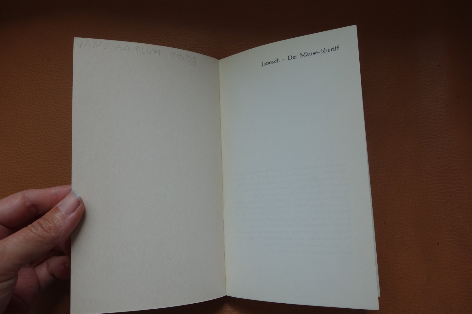 Oma Peter Härtling der Mäuse-Sheriff Janosch Taschenbuch dtv junior 