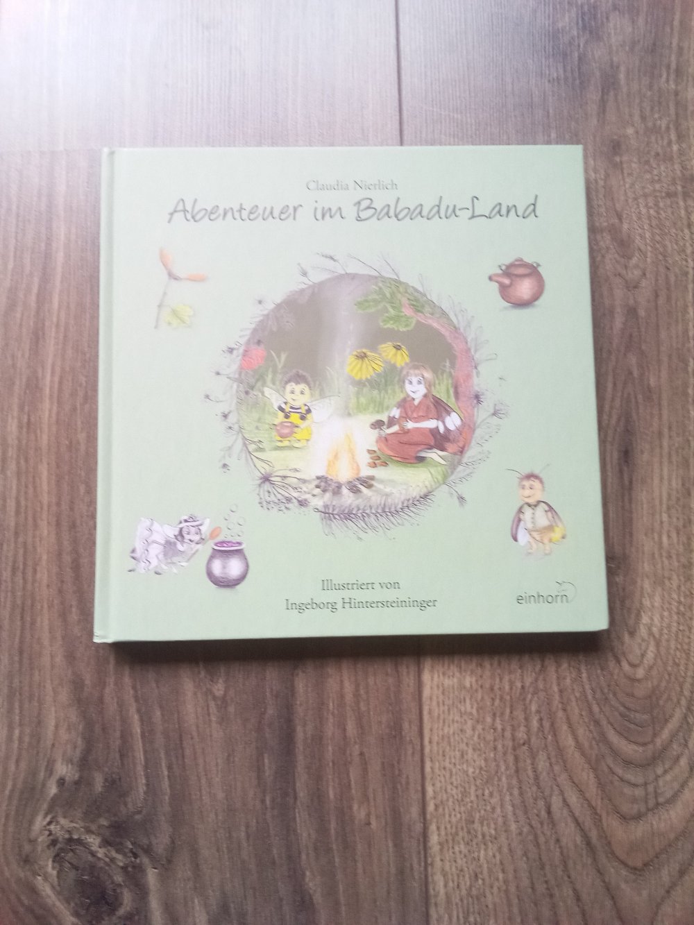 Abenteuer im Babadu-Land Claudia Nierlich Buch ab 6
